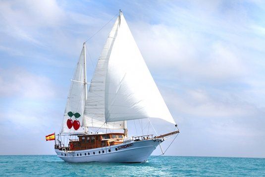 Pacha 67 turkish schooner day charter boat party up to 47 guests ibiza